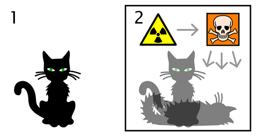 Illustration of the Schrödinger's cat though experiment